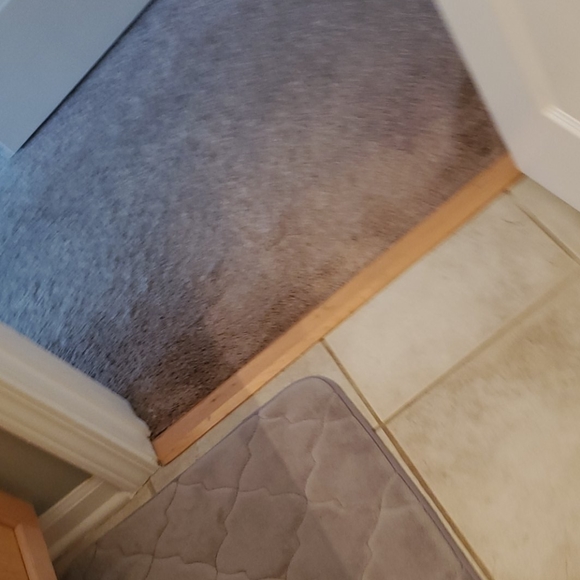 DRESS - Picture 5 of 6